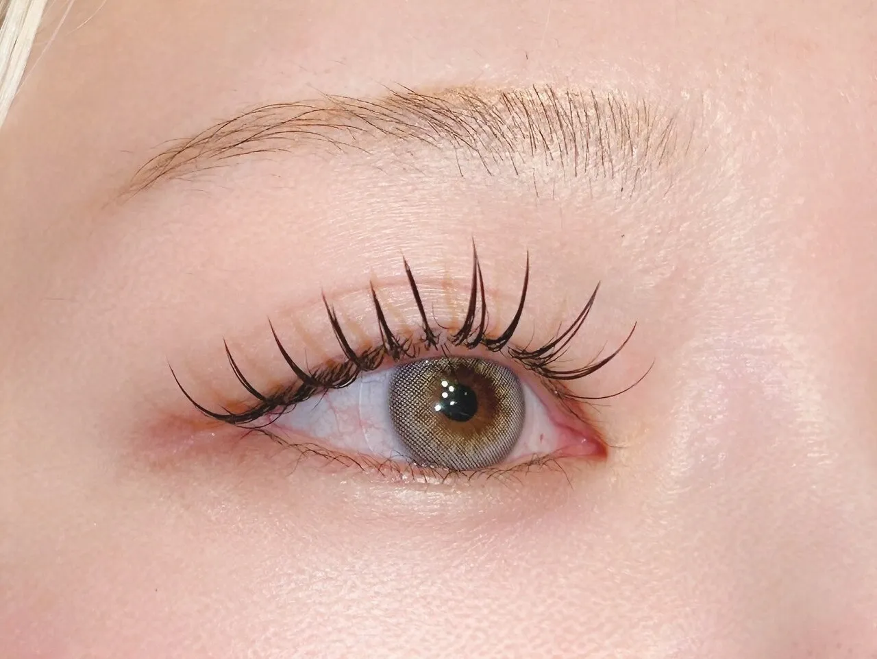 ダークモカ フラット120本