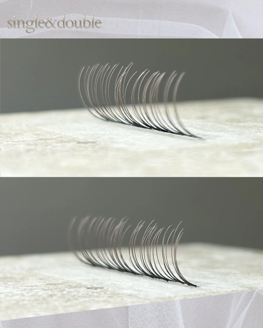 【マツエク】エクステテンション新色をご紹介♪